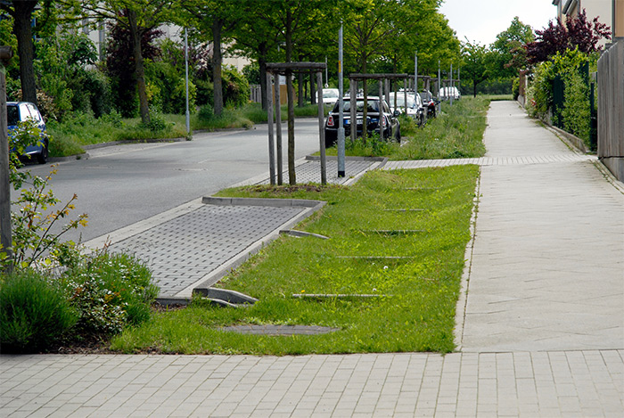 Auf dem Foto sind parallel zu und zwischen einem Straßenzug und Fahrradweg mit Gras bewachsene Muldenkaskaden zur Versickerung des Niederschlagswassers zu erkennen.