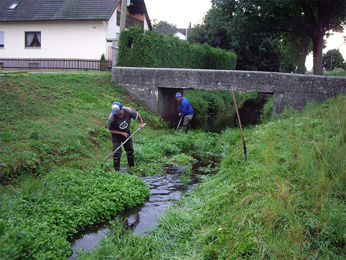Auf dem Foto zu sehen sind Arbeiten der Gewässerunterhaltung. Hier wird ein Graben von zwei Personen mit der Sense entkrautet um den Gewässerabschnitt freizuhalten.