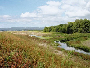 Naturnahe Vorlandflächen an der Kößnach bei Kirchroth