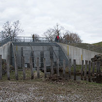 Treibgutrechen (mit entferntem Material im Vordergrund) vor dem frisch gemähten Damm mit Drosselbauwerk am Hochwasserrückhaltebecken des Zweckverbandes Thalhofen.