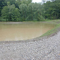 Frisch ausgehobenes und eingestautes Rückhaltebecken am Krebsenbach, Fürstenfeldbruck
