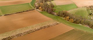 Luftaufnahme von Feldern und einem Fluss