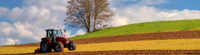 Traktor bestellt das Feld