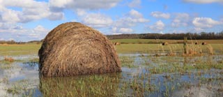 Heuballen auf durchnässtem Feld