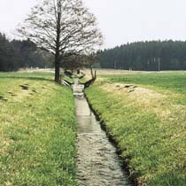 Bach während eines Hochwassereignisses Bach während eines Hochwassereignisses